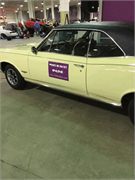 2018 - IX Piston Powered Auto Rama (143)